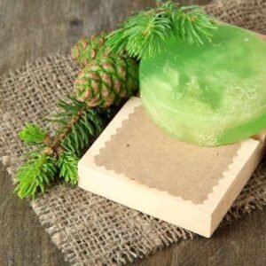 Mint & Pine Purifying Soap
